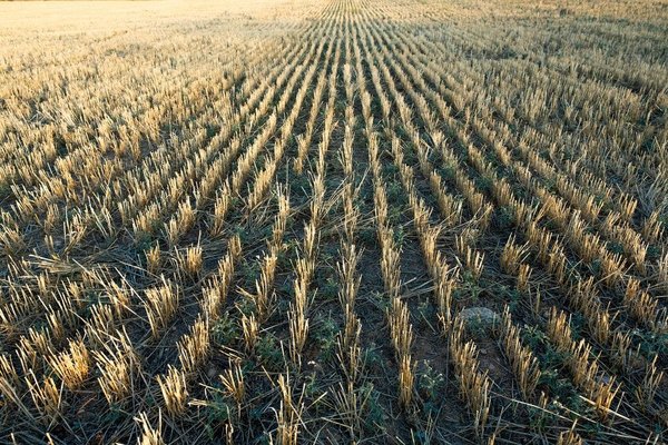 comment gérer les personnalités toxiques au sein de votre équipe